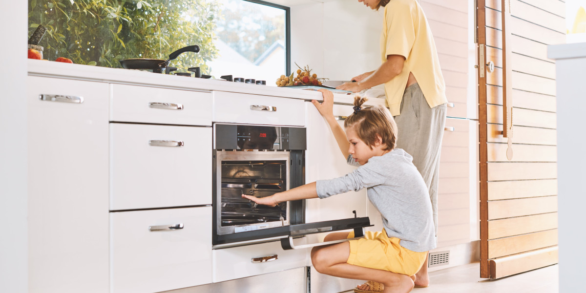 Nine Things That Your Parent Teach You About Built In Electric Ovens