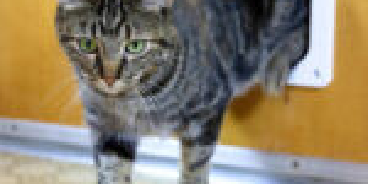 What's The Job Market For Cat Door Setup Professionals?