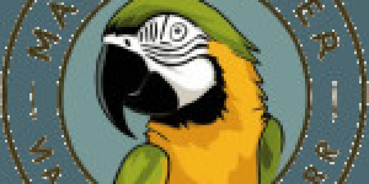 Where to Buy a Macaw: A Comprehensive Guide