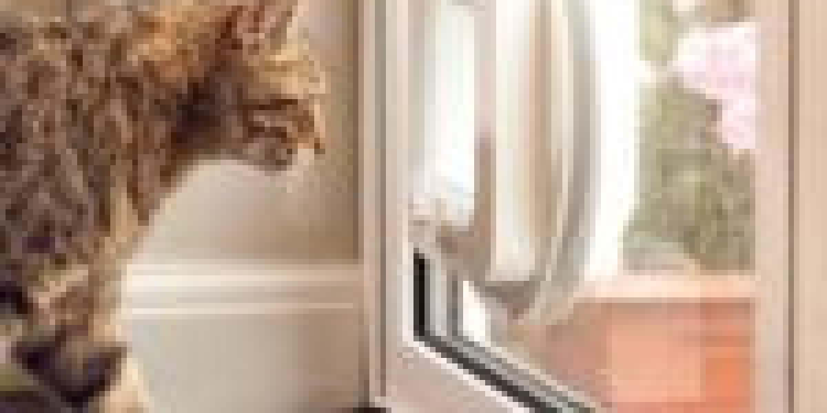 10 Things That Your Family Taught You About Custom Cat Flap Installation