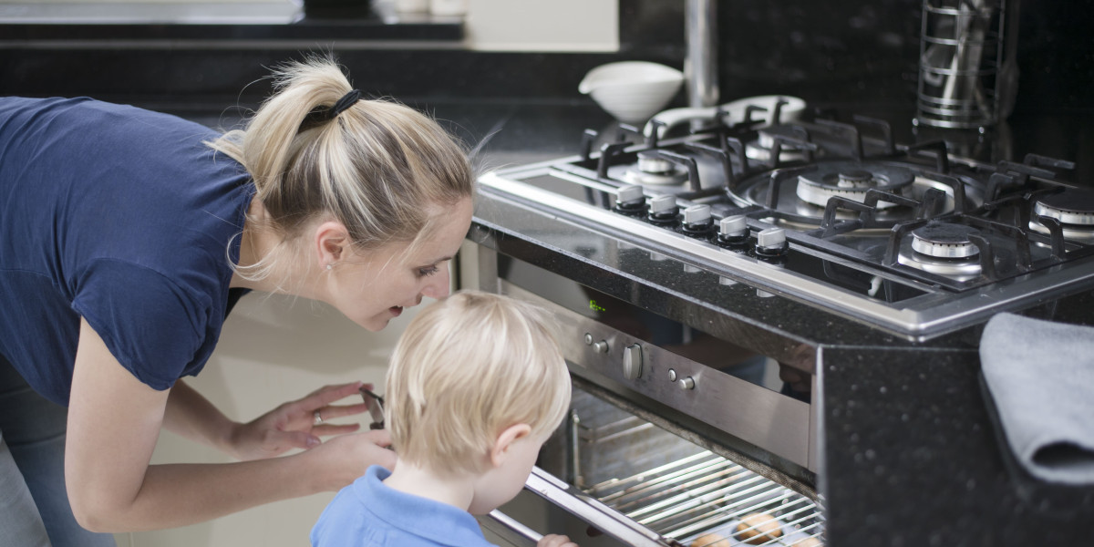20 Things You Need To Be Educated About Cooker Integrated